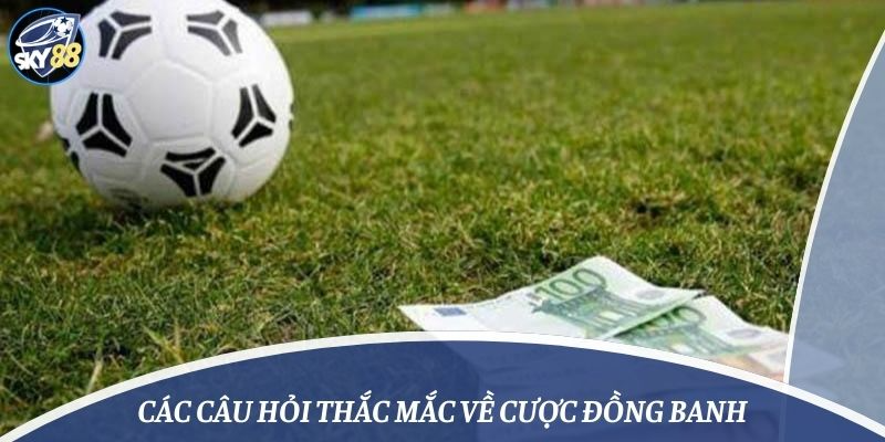 Các câu hỏi thắc mắc về cược đồng banh